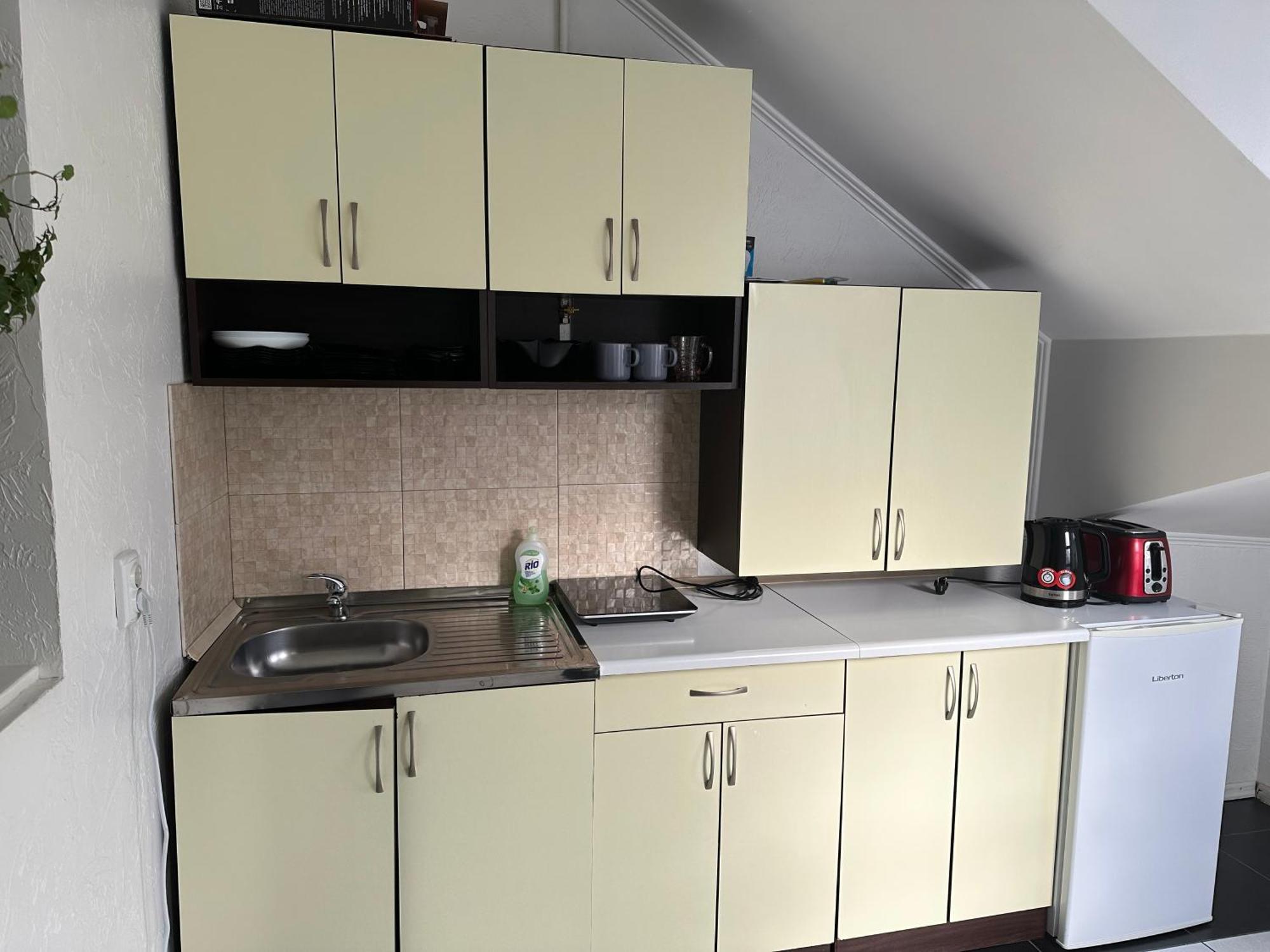 Apartment Guculka Yaremche